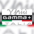 Gamma+