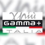Gamma+